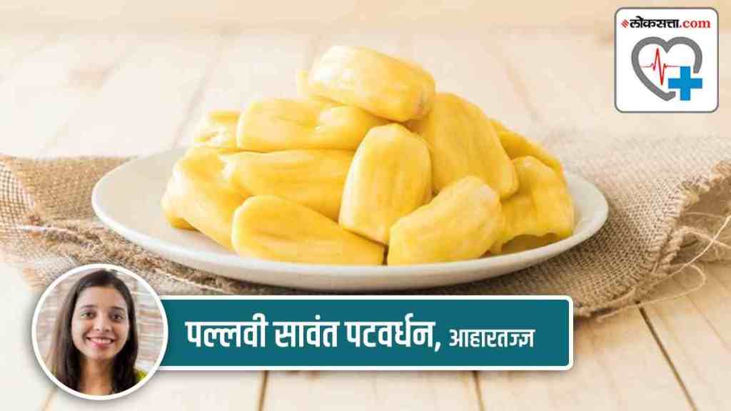 jackfruit, jackfruit called vegan food, jackfruit called meat, health special, health article, health benefits, marathi health article, marathi article,