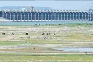 mumbai water supply dams 5 percent Capacity, Low Rainfall in dam area, Water Shortage Concerns for Mumbai, Low Rainfall in mumbai water suuply dams, Mumbai news, water news