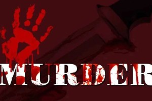 Husband, Husband Kills Wife with Axe, murder in Amravati, Husband Kills Wife Amravati, Kamnapur Ghusali area, murder news,