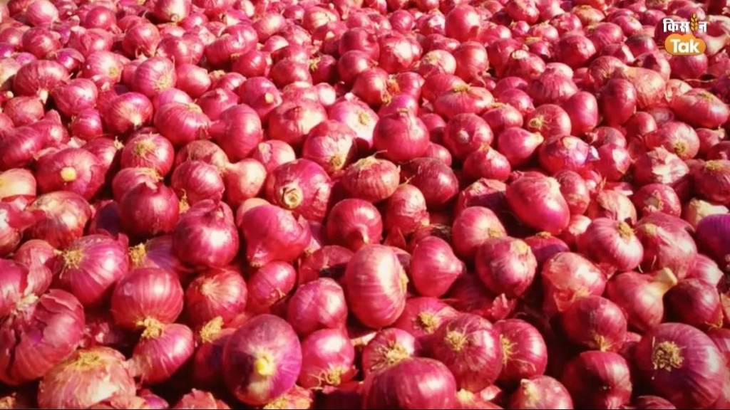 onion export ban decision impact on 10 lok sabha constituency results