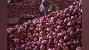 Nashik, Onion Producers Protest Government Procurement Rates, Government Procurement Rates for onion below than apmc, Agricultural Produce Market Committee, National Agricultural Cooperative Marketing Federation, onion farmer, nashik onion, onion news,