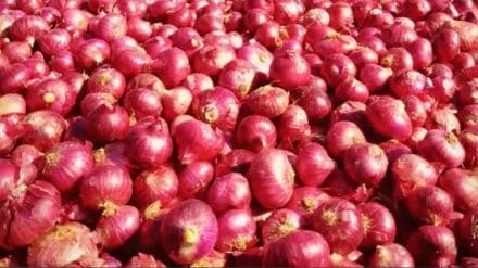 Onion is of the same quality but the price varies from district to district