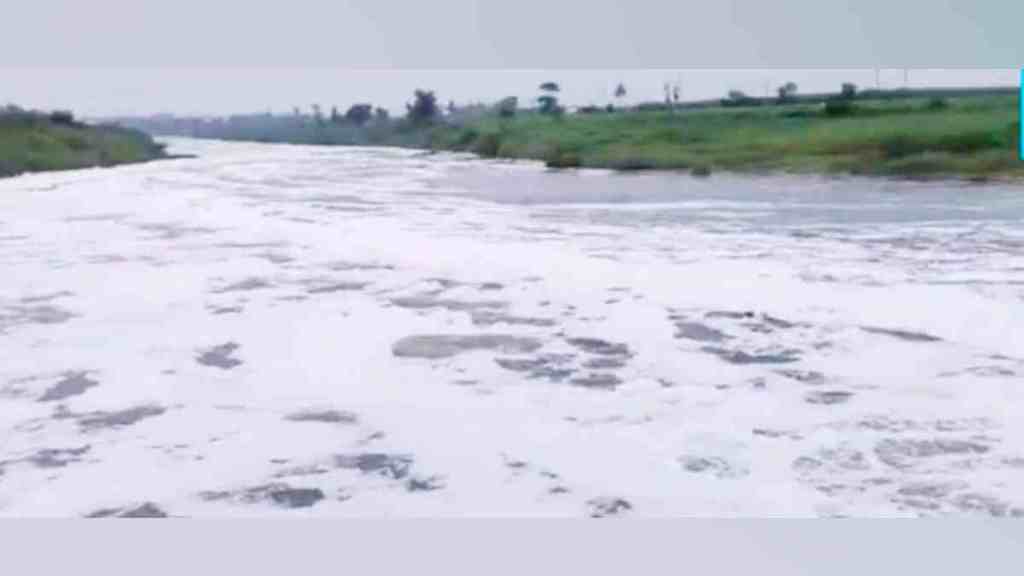 Chemical Contamination in Panchganga River, Panchganga River kolhapur, Panchganga River Milky White, shirol taluka, Kolhapur district, Panchganga River news,