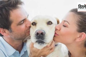 pets concerns Are we loving our pets to death