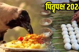 pitru paksha 2024 dates know rituals puja vidhi and importance of the day and significance of shraddh paksha in marathi