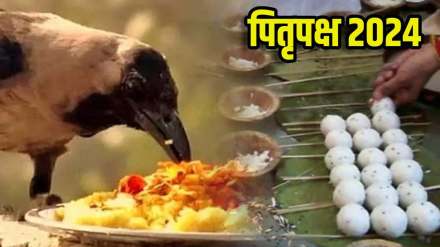 pitru paksha 2024 dates know rituals puja vidhi and importance of the day and significance of shraddh paksha in marathi