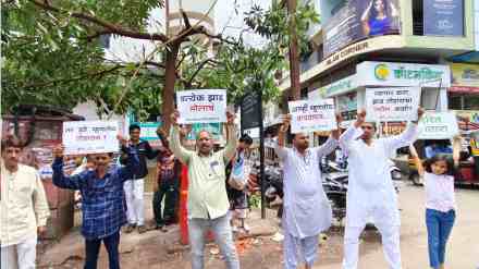 Satara, Satara Protest against Illegal Tree Cutting, Tree Cutting , Innovative Campaign, Rajpath satara, marathi news