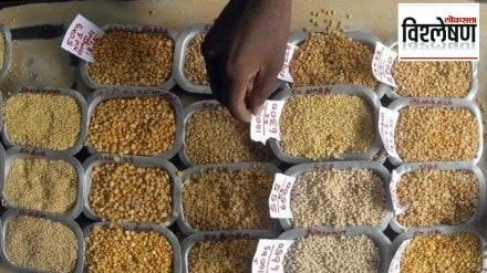 loksatta analysis why centre guarantees to purchase of pulses from farmers at msp