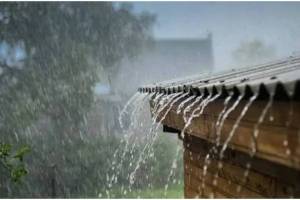 maharashtra expected rain in next five days heavy rain