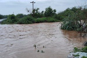 Heavy rain in Solapur district has flooded rivers and streams