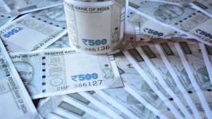 indian rupee in international capital market globalising the indian rupee
