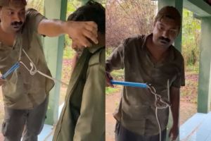 snake appeared in shirt of a gypsy driver video goes viral
