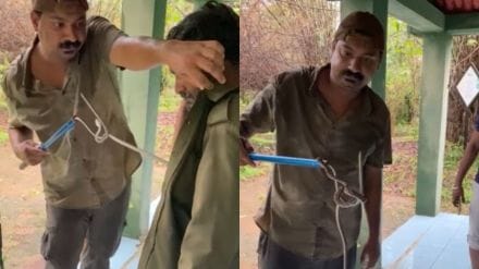 snake appeared in shirt of a gypsy driver video goes viral