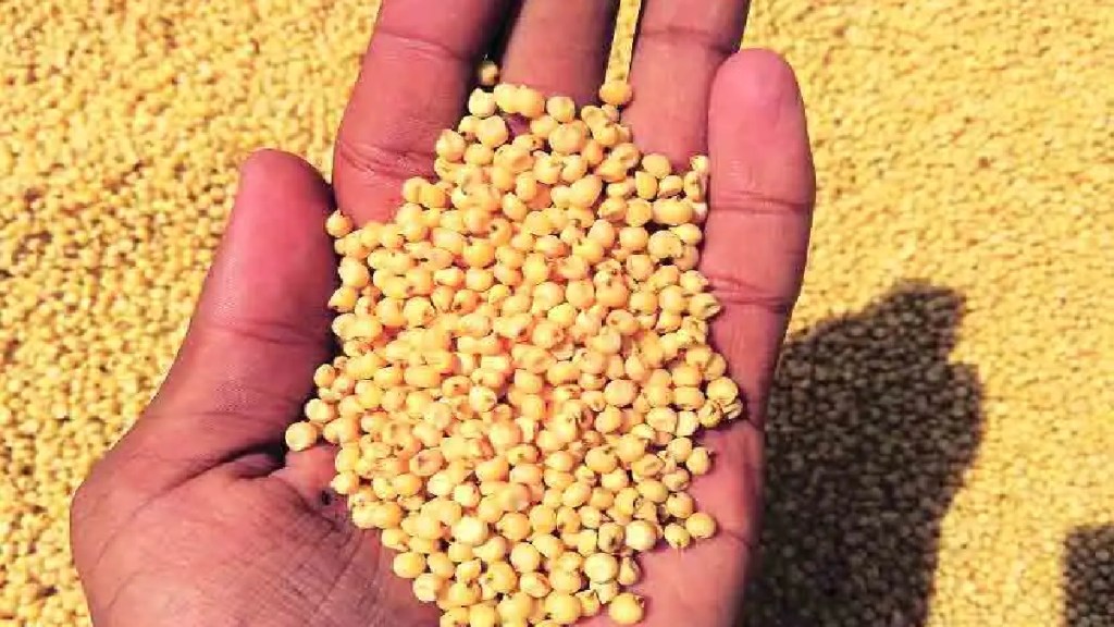 Sorghum procurement target reduced in six districts of the Maharashtra state