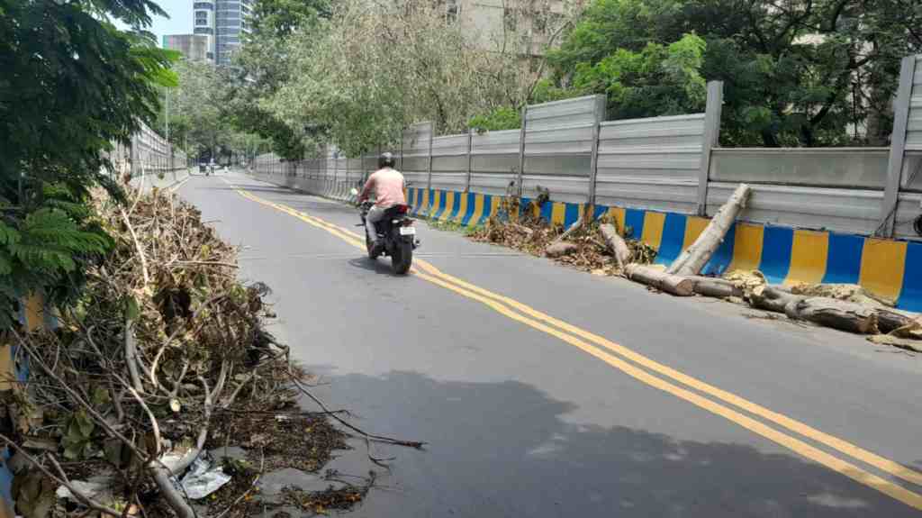 Thane, thane residents, Unremoved Tree Debris, Thane Residents Face Hazards from Unremoved Tree Debris, cut tree waste, thane municipal corporation, majiwada, minatai Thackeray chowk thane,