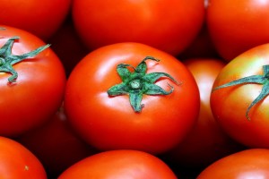 price, tomato , increased,