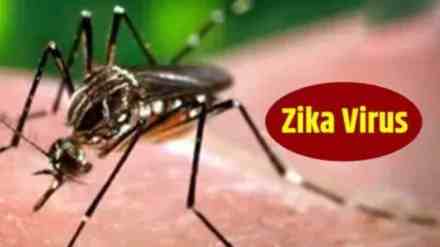 Zika Cases Detected, Zika Cases Detected in Pune, Municipal Zika Cases Detected in Pune s Erandwane and Mundhwa Areas, Corporation Implements Preventive Measures,