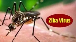 pregnant woman detected with zika in pune