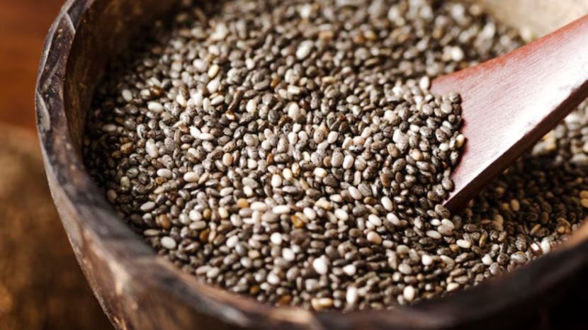 Chia Seeds Benefits