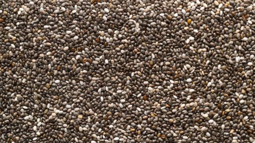 Chia Seeds Benefits