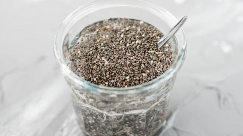 Chia Seeds Benefits