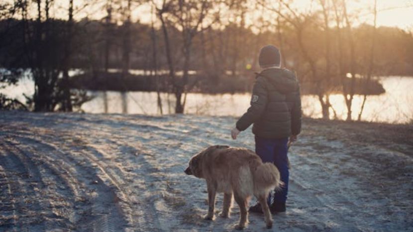 do you walk for 10K steps every day