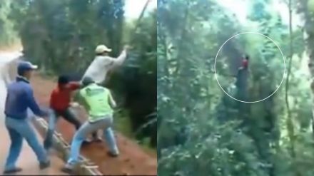 Accident while swinging goes viral video