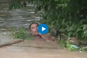 Assam Floods Man risks life to rescue calf from drowning