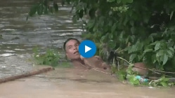 Assam Floods : वासराला वाचवण्यासाठी व्यक्तीने थेट पुराच्या पाण्यात मारली उडी, Viral Videoमध्ये थरारक दृश्य कैद