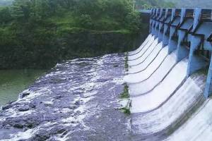 heavy rain, thane district, Barvi Dam, storage, 60 percentage