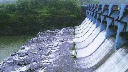 heavy rain, thane district, Barvi Dam, storage, 60 percentage