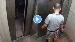 एक चूक अन् क्षणात होत्याचं नव्हतं झालं; एका व्यक्तीबरोबर लिफ्टमध्ये भयंकर घडलं, व्हायरल Video पाहून बसेल धक्का