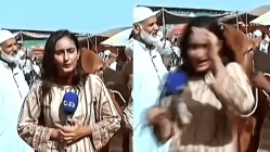 टीव्हीवर लाईव्ह बातम्या सांगत होती पाकिस्तानी महिला पत्रकार, तेवढ्यात बैलाने…..; Video होतोय तुफान Viral