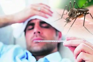 Chikungunya outbreak in Nagpur which area has the highest number of patients