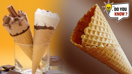 Ice Cream Cone News