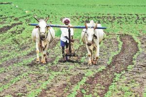 One lakh farmers out of loan process