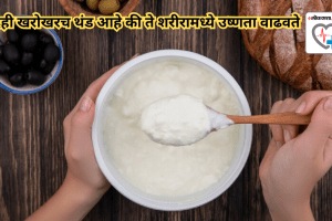 Is curd really cooling or does it increase heat in the body How does yogurt affect the body Learn from the experts