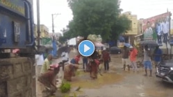 वैतागलेल्या नागरिकांनी खड्ड्यांमध्ये लावली भाताची रोपं, Viral Videoने केली सरकारची पोलखोल