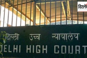 How did High Courts interpret the new criminal laws for the first time