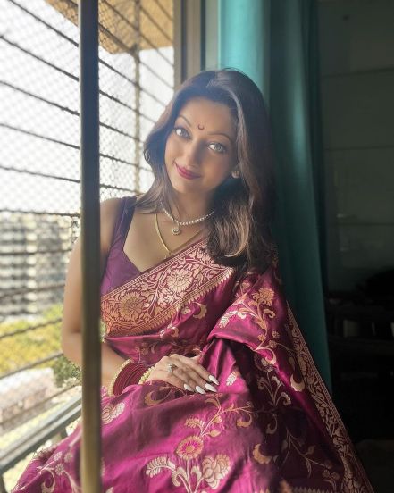 Manasi Naik Ex Husband Pardeep Kharera Engagement photos