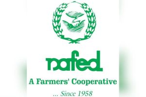 Irregularities in government onion purchase two officers of Nafed arrested