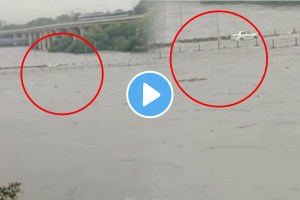 Pune rain video car stuck in flood water on tilak bridge in front of pmc video
