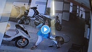 Shocking video A Big Monkey attacked on Girl in Basement area video goes viral