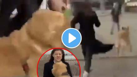 dog snatches away reporter microphone while reporting on air in russia funny video goes viral