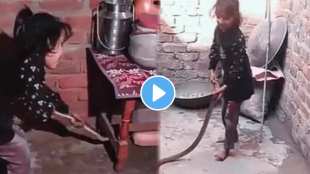 The little girl pulled out the snake that entered the house with his own hands