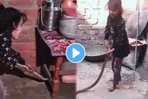 The little girl pulled out the snake that entered the house with his own hands