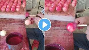shopkeeper paints red colour on apples toxic chemicals in fruits video viral