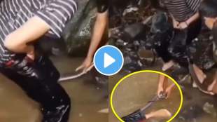snake entered into pants a person bathing in water fall video goes viral