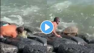 Man Saved A Turtle Stuck In The Rocks