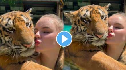 The young lady kissed the tiger